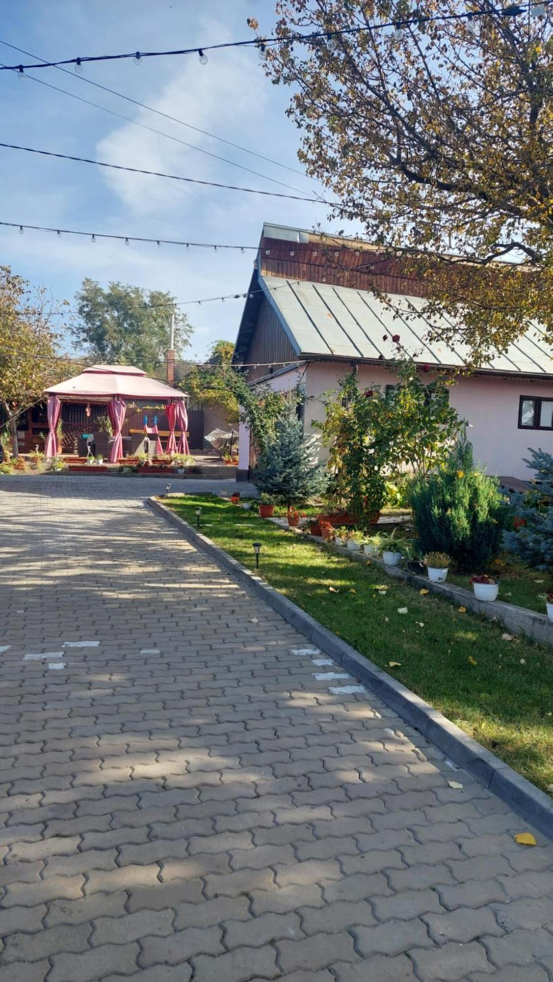 Pensiunea Happy Flowers Greci Экстерьер фото